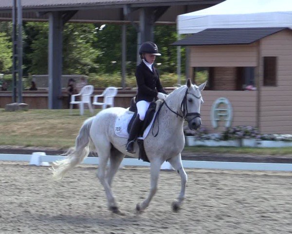 Reitturnier Langenfeld 2025