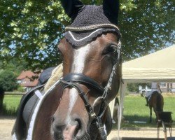dressage horse Jovina 5 (Westphalian, 2020, from Jovian)