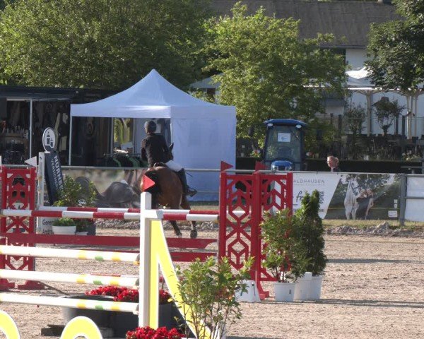 Reitturnier Langenfeld 2025