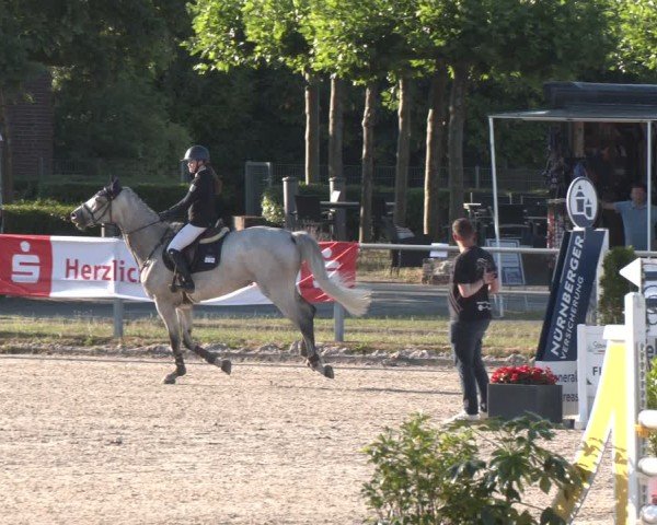 Reitturnier Langenfeld 2025