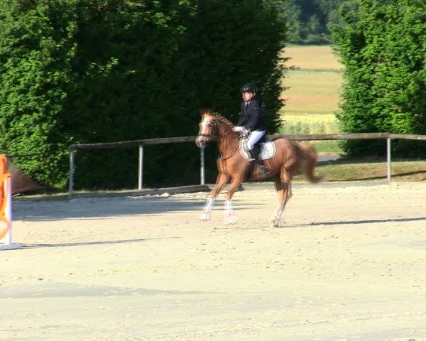 Reitturnier Großbardorf/Ufr. 2025