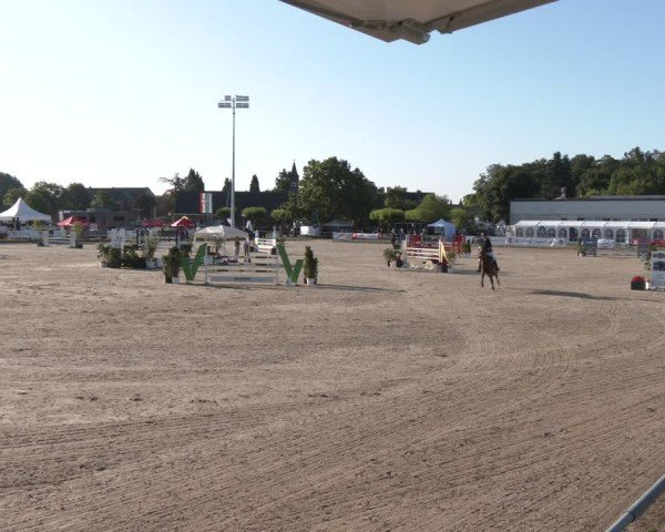 Reitturnier Langenfeld 2025