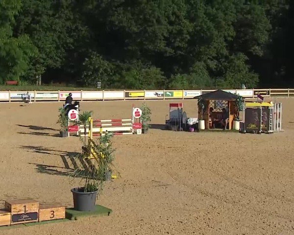 Reitturnier Tiefenhof/Opf. 2025