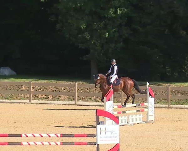 Reitturnier Tiefenhof/Opf. 2025
