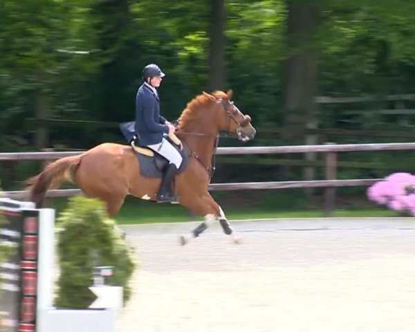 Klein Roscharden May Tour 2014