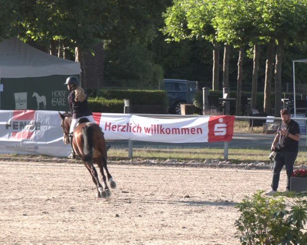 Reitturnier Langenfeld 2025