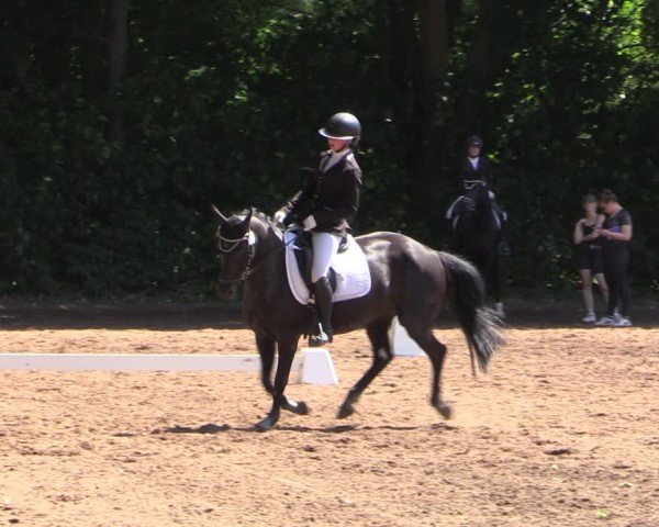 Reitturnier Schwittersdorf-Beesenstedt 2025