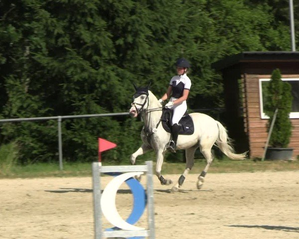 Reitturnier Bad Liebenstein/Sorga 2025