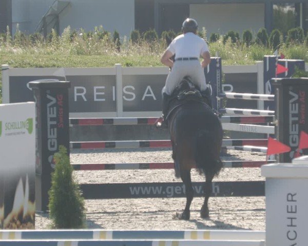 Reitturnier Babenhausen/Schw. 2025
