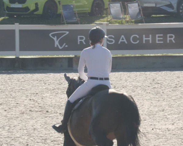 Reitturnier Babenhausen/Schw. 2025