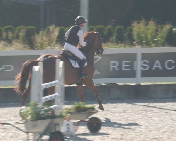 Reitturnier Babenhausen/Schw. 2025