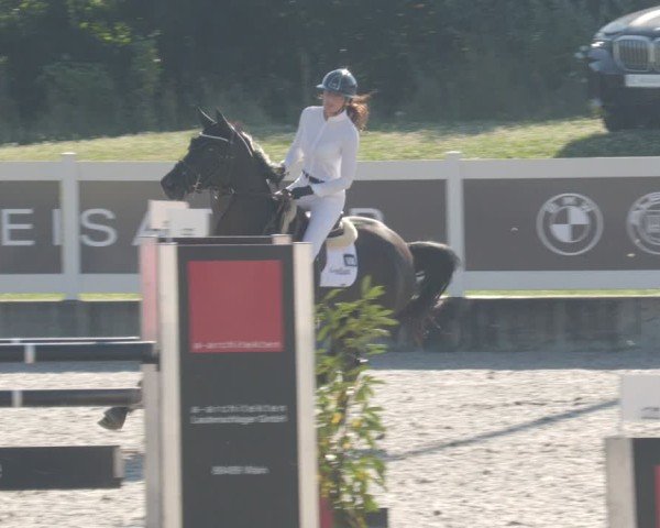 Reitturnier Babenhausen/Schw. 2025