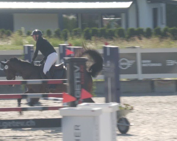 Reitturnier Babenhausen/Schw. 2025