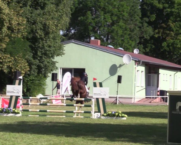 Reitturnier Schwittersdorf-Beesenstedt 2025