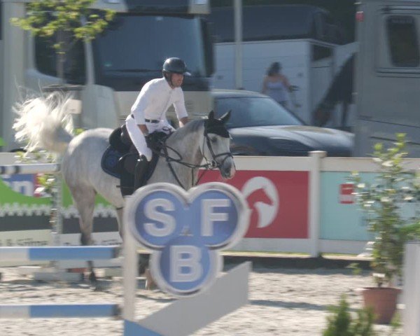 Reitturnier Babenhausen/Schw. 2025