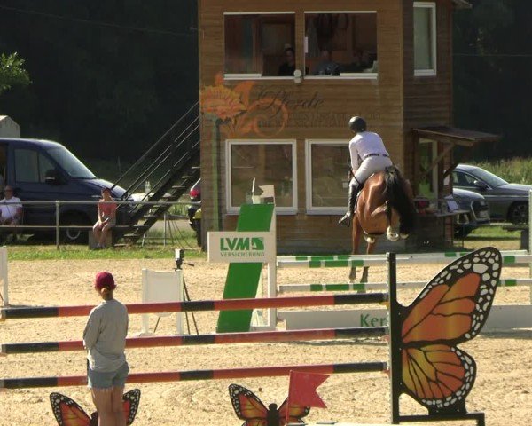 Reitturnier Bad Liebenstein/Sorga 2025