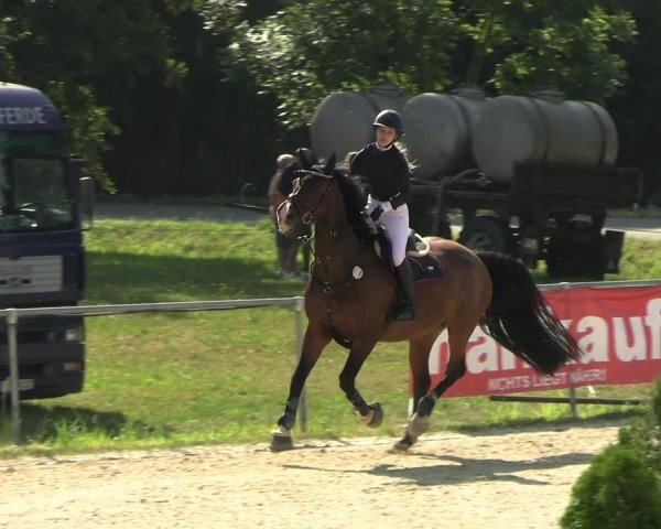 Reitturnier Bad Liebenstein/Sorga 2025