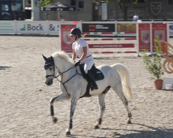 Reitturnier Babenhausen/Schw. 2025
