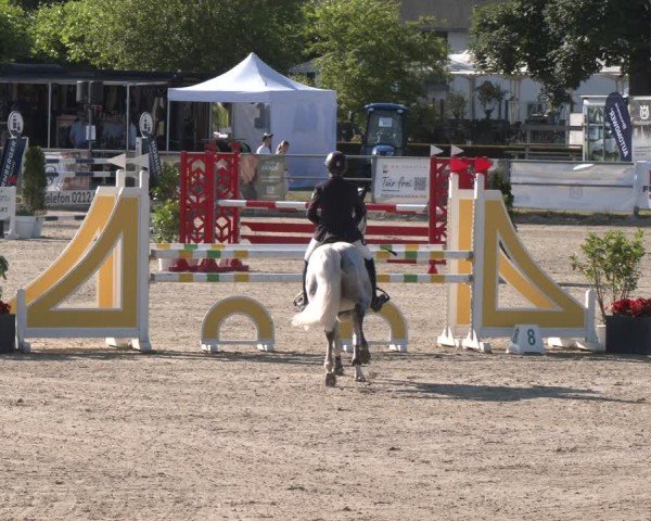 Reitturnier Langenfeld 2025