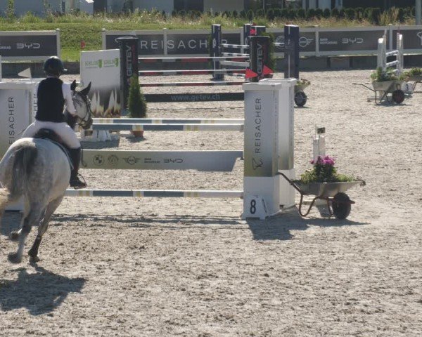 Reitturnier Babenhausen/Schw. 2025