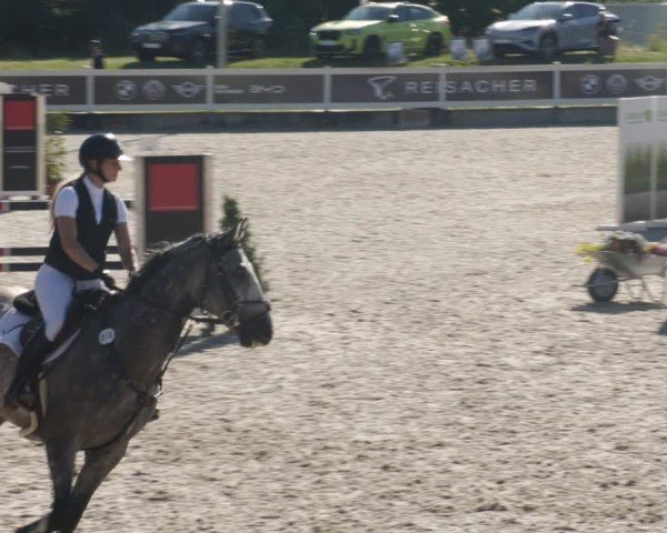 Reitturnier Babenhausen/Schw. 2025