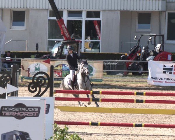 Reitturnier Langenfeld 2025