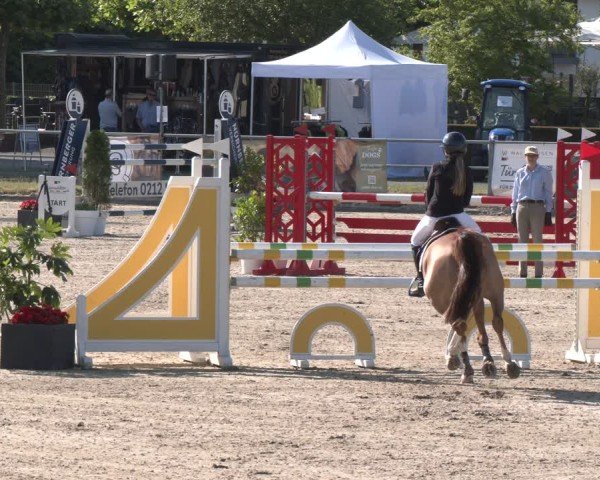 Reitturnier Langenfeld 2025