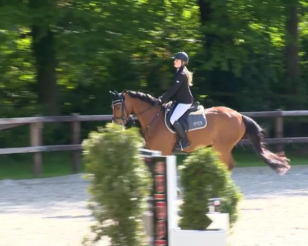 Klein Roscharden May Tour 2014