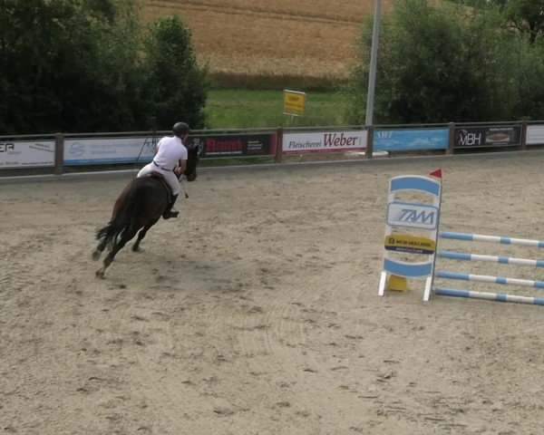 Reitturnier Uder, Reitanlage Kobold 2025