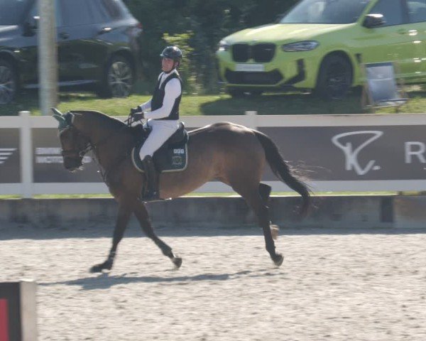 Reitturnier Babenhausen/Schw. 2025
