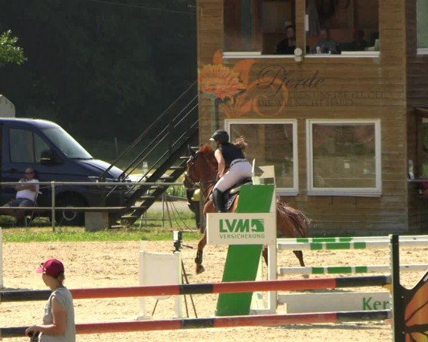 Reitturnier Bad Liebenstein/Sorga 2025