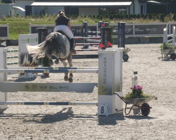 Reitturnier Babenhausen/Schw. 2025