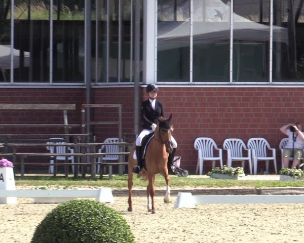 Reitturnier Langenfeld 2025
