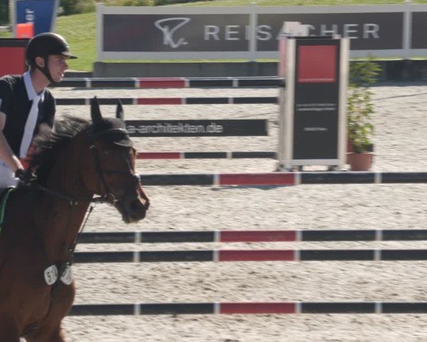 Reitturnier Babenhausen/Schw. 2025