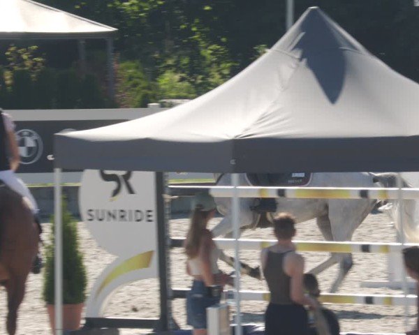 Reitturnier Babenhausen/Schw. 2025