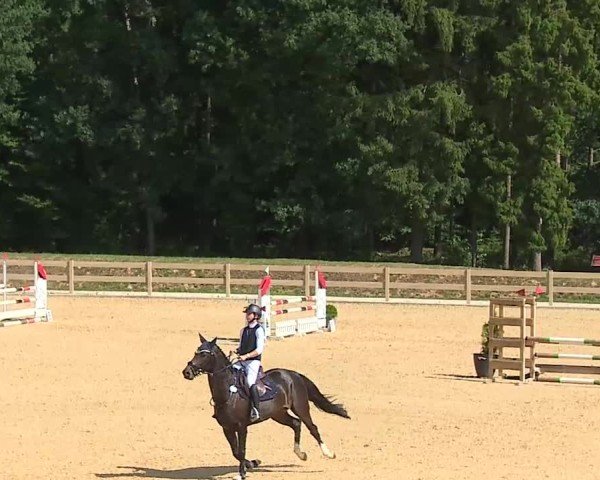 Reitturnier Tiefenhof/Opf. 2025