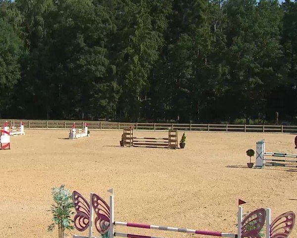 Reitturnier Tiefenhof/Opf. 2025