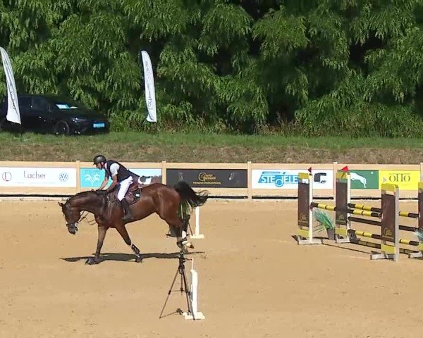 Reitturnier Tiefenhof/Opf. 2025