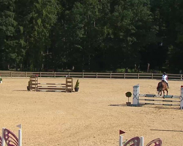 Reitturnier Tiefenhof/Opf. 2025