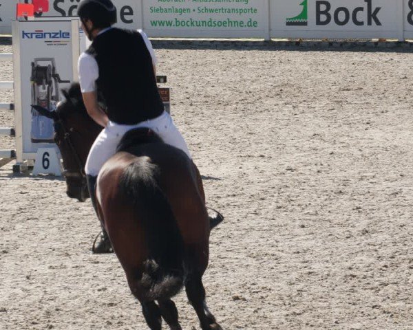 Reitturnier Babenhausen/Schw. 2025