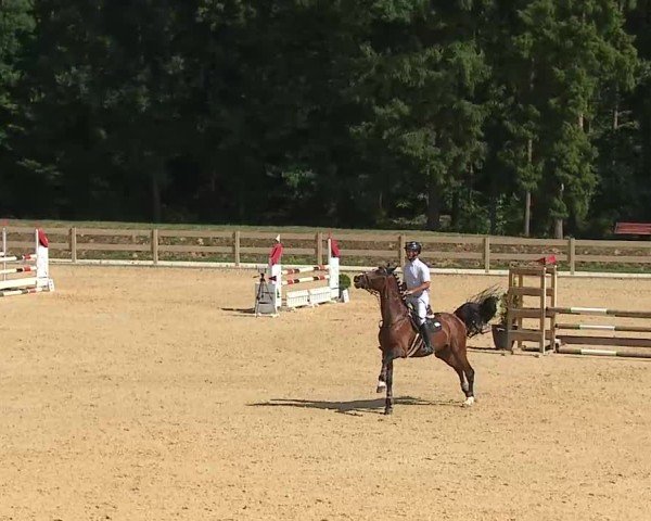 Reitturnier Tiefenhof/Opf. 2025