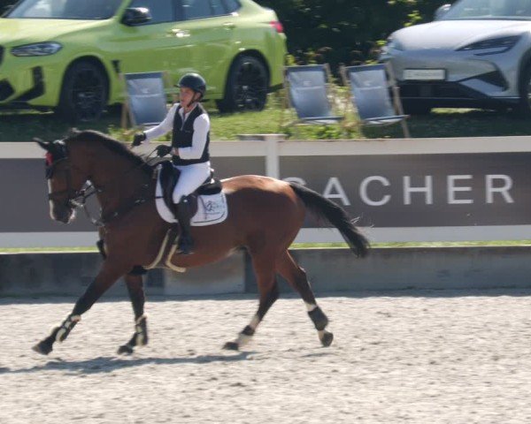Reitturnier Babenhausen/Schw. 2025