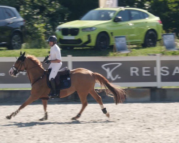Reitturnier Babenhausen/Schw. 2025