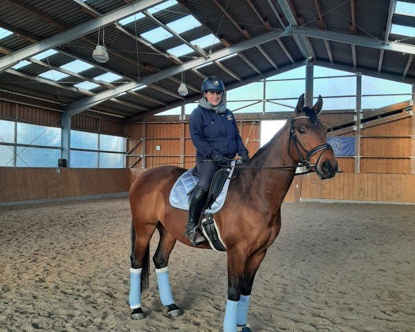 horse Bonheur d'jour (Oldenburg, 2019, from Belissimo NRW)