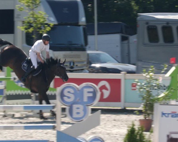 Reitturnier Babenhausen/Schw. 2025