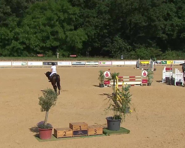 Reitturnier Tiefenhof/Opf. 2025
