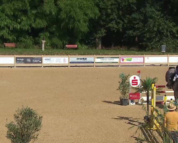 Reitturnier Tiefenhof/Opf. 2025