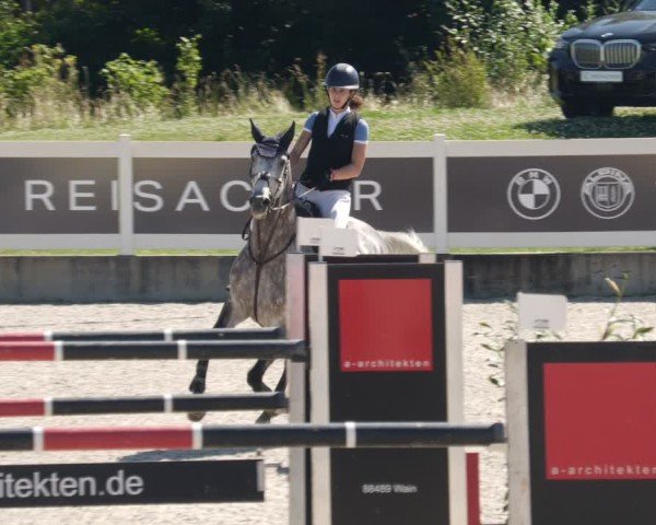 Reitturnier Babenhausen/Schw. 2025