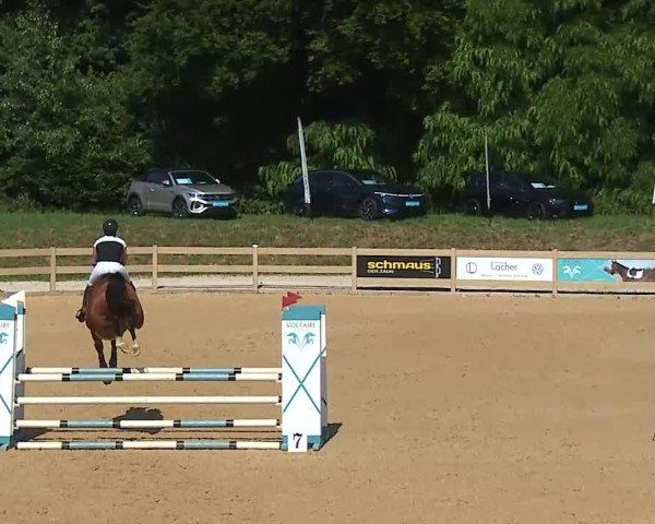 Reitturnier Tiefenhof/Opf. 2025