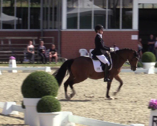 Reitturnier Langenfeld 2025